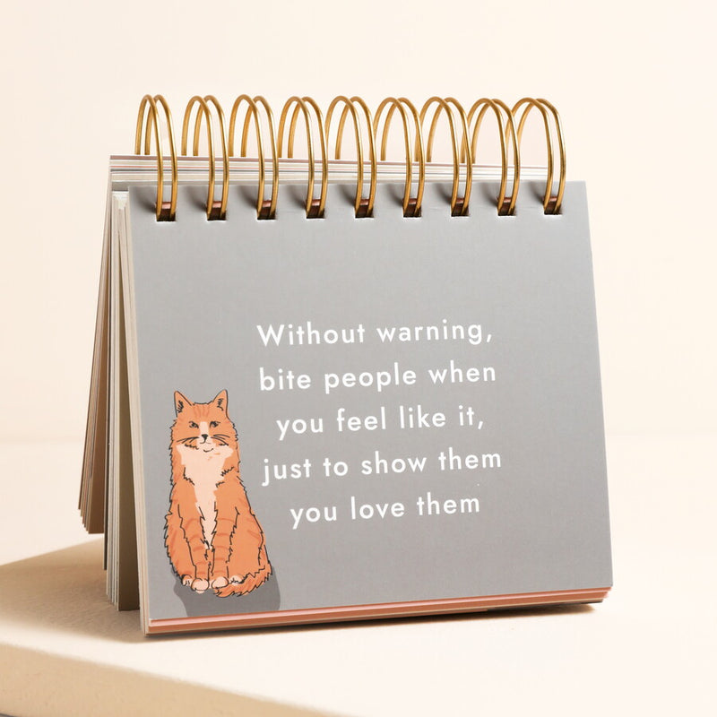 Be More Cat Flip Chart