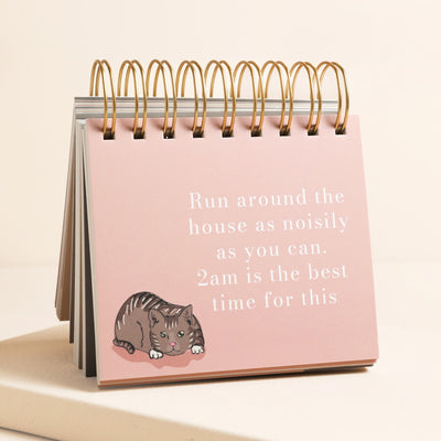 Be More Cat Flip Chart