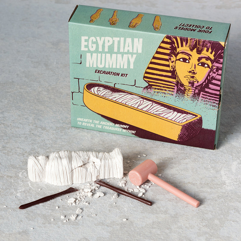 Mummy Excavation Kit