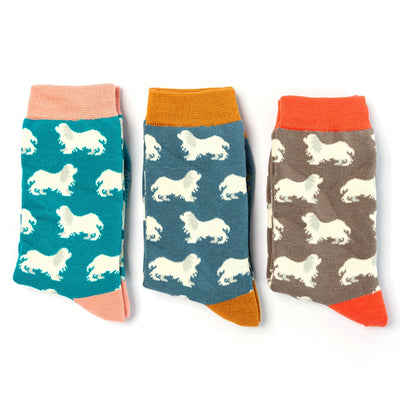 Spaniels Teal Bamboo Socks