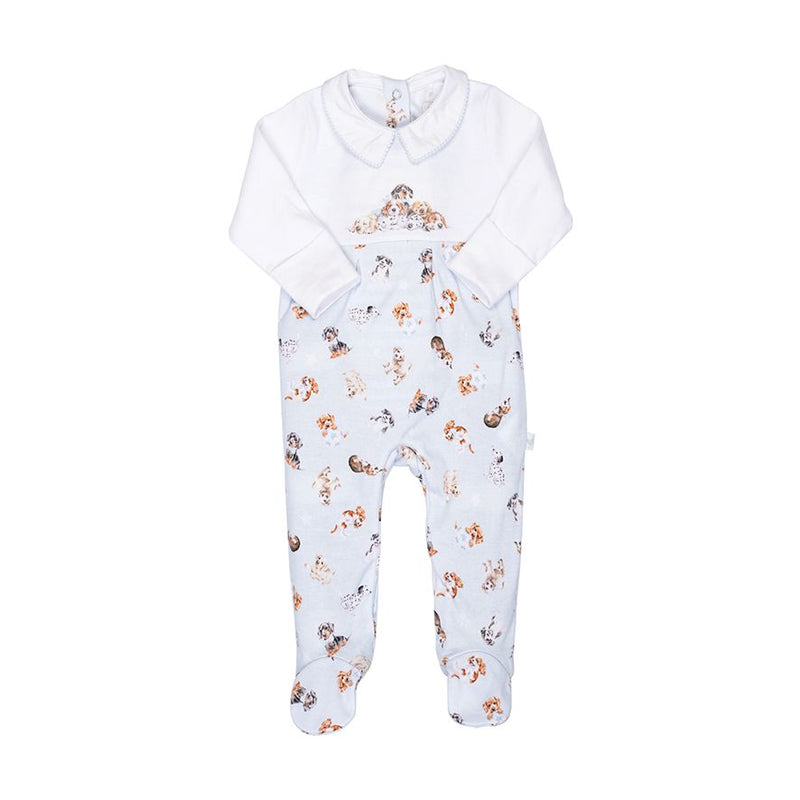 ‘Little Paws’ Dog Babygrow 0-3 Months