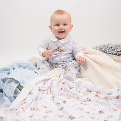 ‘Little Paws’ Dog Babygrow 0-3 Months