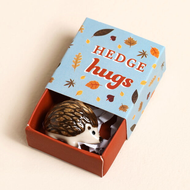 Hedge Hugs Hedgehog Matchbox Token