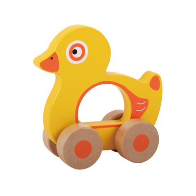 Push Along Duck Friend