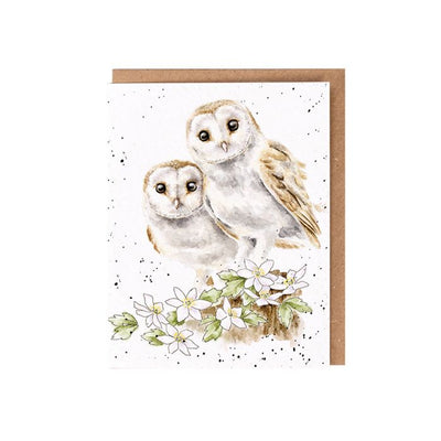 Hooting For You' Seed Card