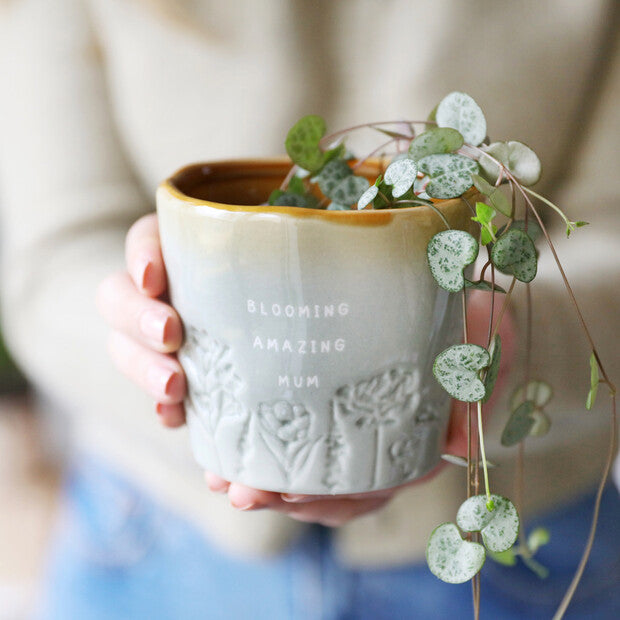 Blooming Amazing Mum Planter