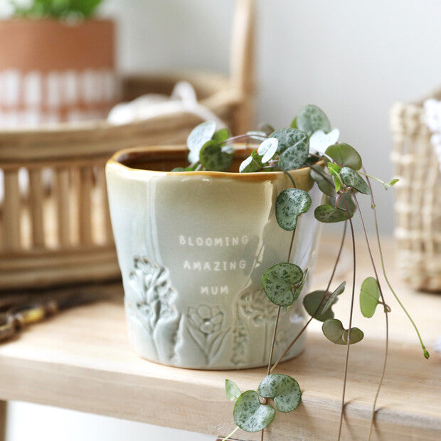 Blooming Amazing Mum Planter