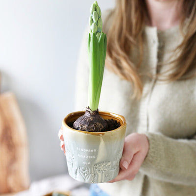 Blooming Amazing Mum Planter