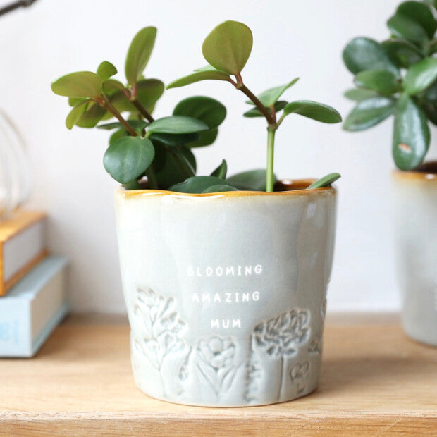 Blooming Amazing Mum Planter