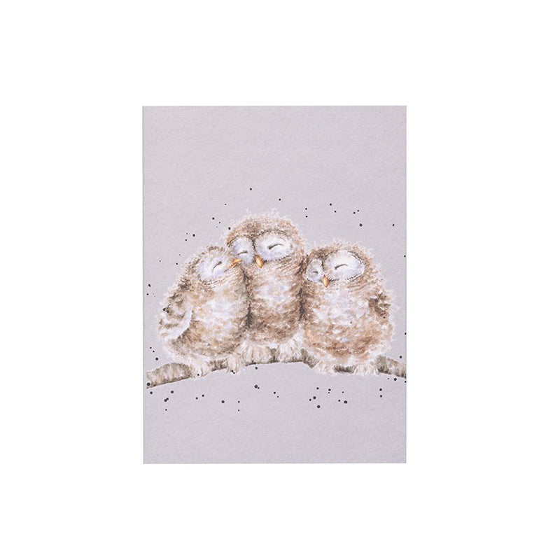 ‘Owlets’ Owl A6 Notebook