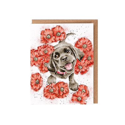 Poppy Love' Seed Card