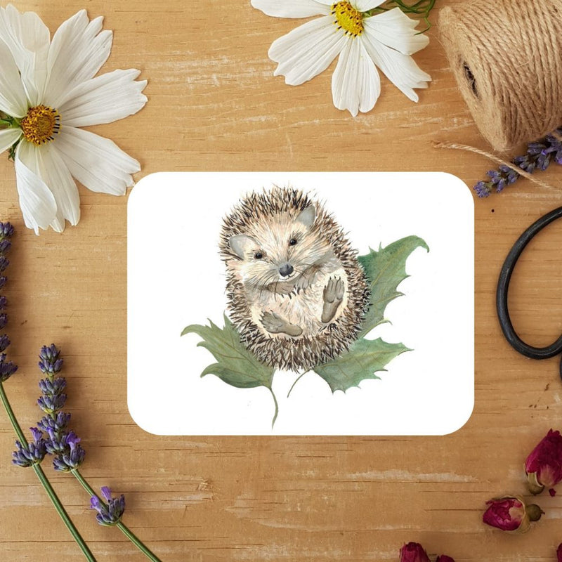 Mr. Prickles Hedgehog Coaster